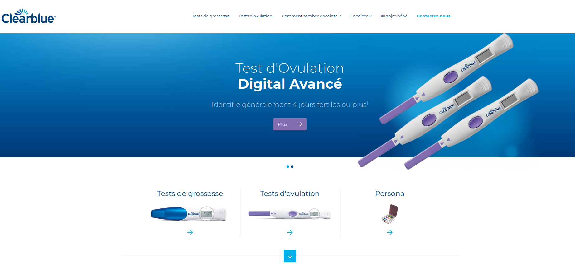 Page d'accueil du site FR