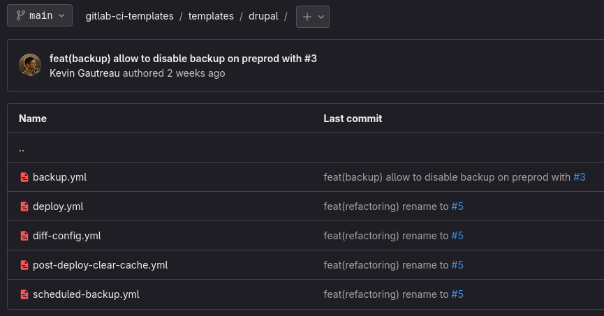Gitlab ci jobs drupal