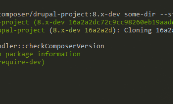 Composer Drupal