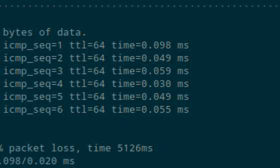 ping d'un site en .test