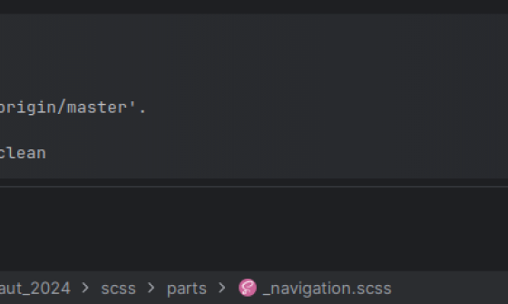 Nouveau terminal phpstorm