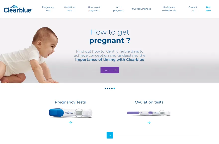 Page d'accueil du site
