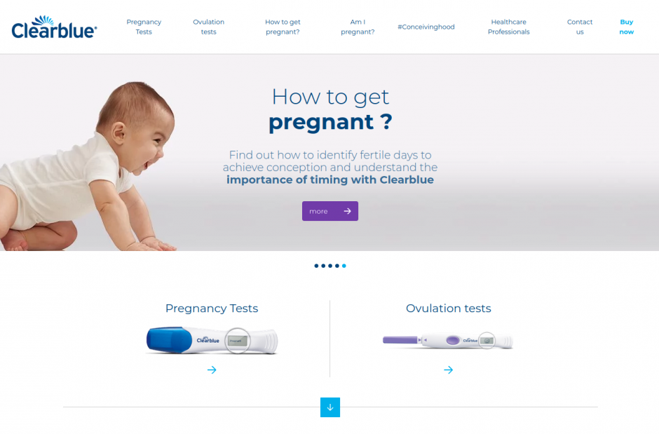 Page d'accueil du site