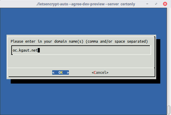 2-letsencrypt-domain.png
